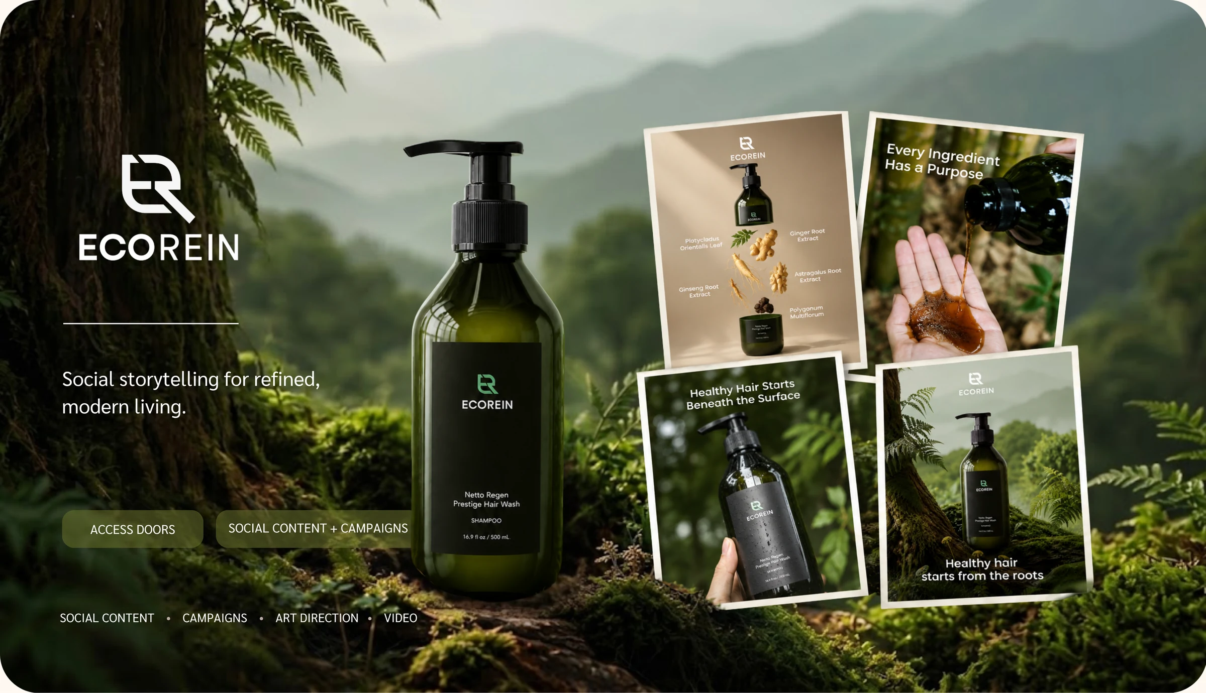 Ecorein portfolio artwork